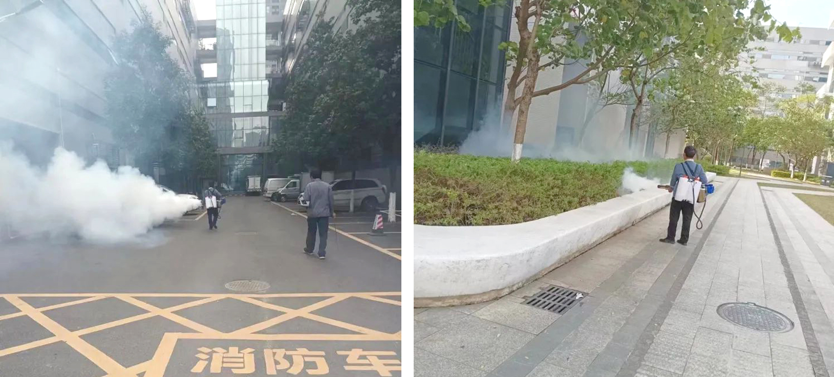 四害消杀专项工作.jpg